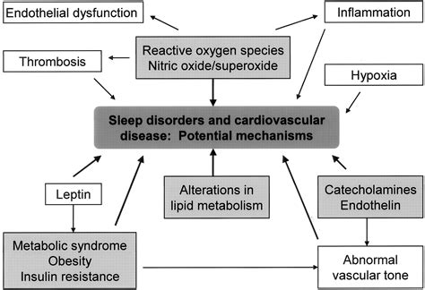 Cardiovascular Consequences Of Sleep Disordered Breathing Past