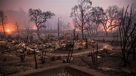 The Best Photos From Time Photographers In 2017