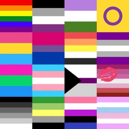 I feel like having a million and one different flags makes our rights seem more like a quirky hobby or personality trait than a real cause. Can You Guess These LGBTQ+ Flags Correctly? - FIFTY SHADES ...