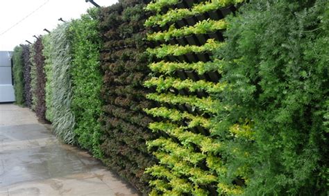 Living Green Walls India Should Look To Vertical Gardens To Combat