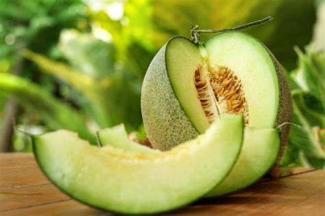 14 Honeydew Melon Varieties Different Varieties Chowtray