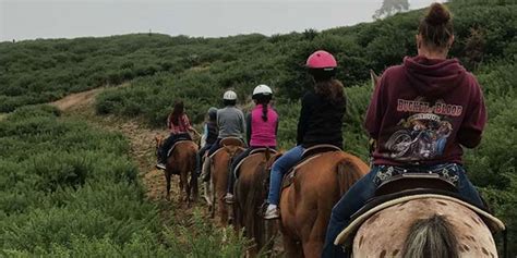 Horse N Around Trail Rides Bodega Bay Ca