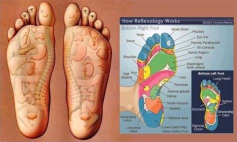 Why Is So Important To Massage Your Feet Before You Going