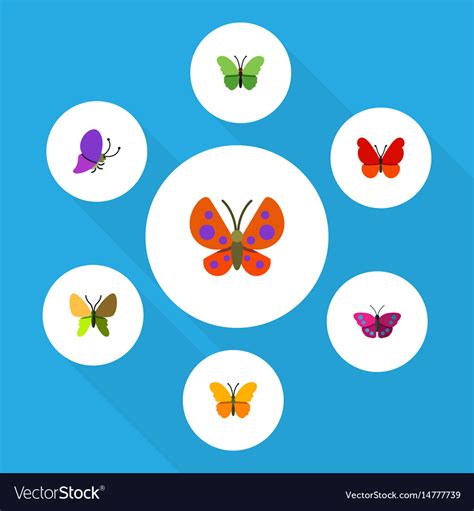 Flat Moth Set Summer Insect Moth Milkweed And Vector Image