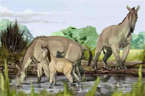 Mystery Of How First Animals Appeared On Earth Solved Geology Page