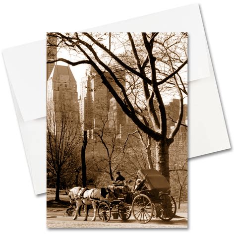 Look carefully for omitted, misdescribed, or an nyc parking ticket tale. MC-3902-carriage-ride-central-park-nyc-west-card-envelope - Art Photo Web Studio