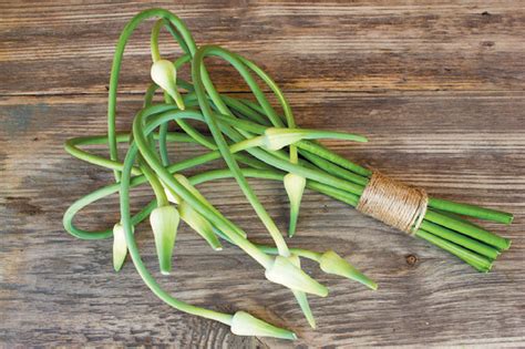 Edible Health Garlic Scapes Edible Jersey
