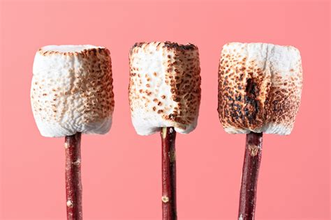 16 Creative Toasted Marshmallow Recipes