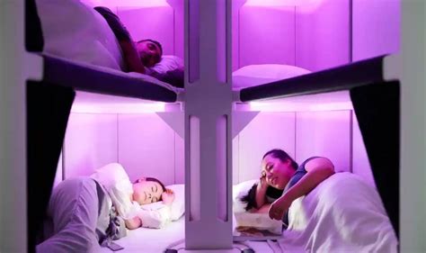 airline set to install world s first bunk beds for economy passengers on air new zealand