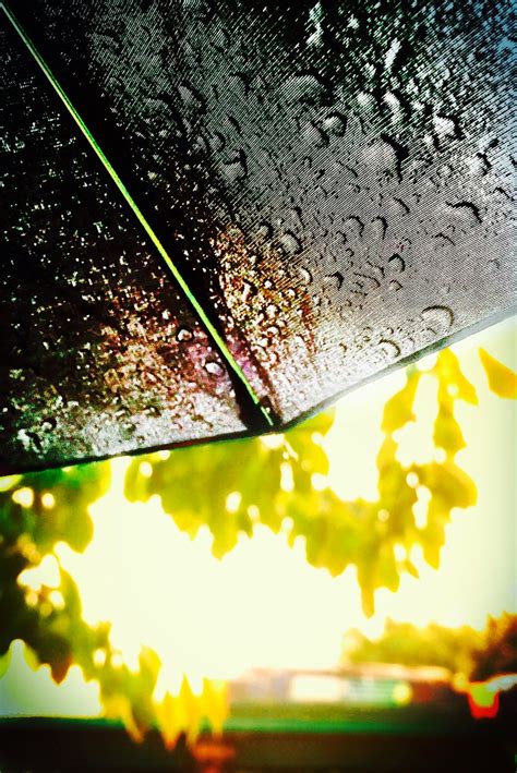 Summer Rain Explore Summer Rain Belinda Carlisle Youtu Flickr