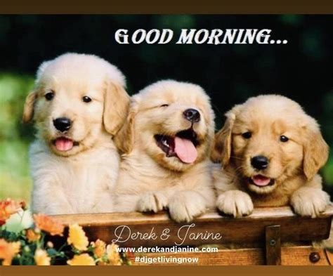 Good Morning Everyone And Have A Great Day 🤗☀️🤗☕️ Derekandjanine