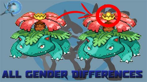 All Gender Differences In Pokémon Generation 1 To 6 Youtube