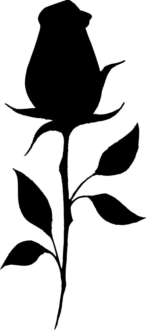 17 Rose Silhouette Png Transparent