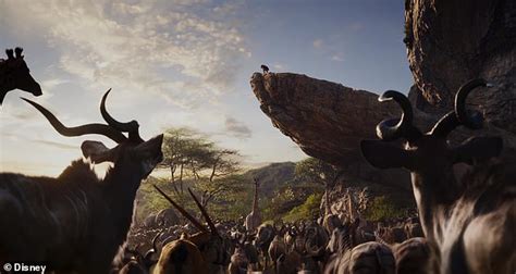 The Lion Kings Newest Trailer Teases New Animals At Pride Rock Plus A