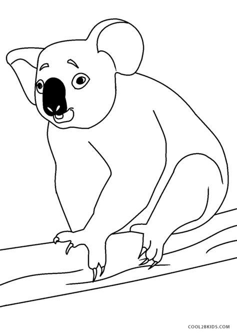 Kolorowanki Koala Cool2bkids