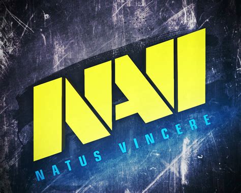 Counter Strike Navi Professional Team Counter Strike
