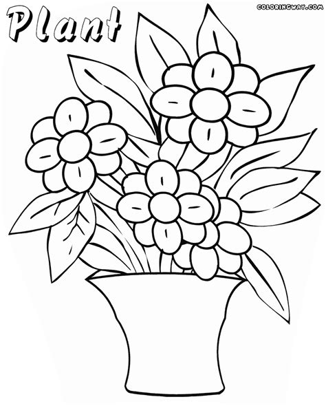 Plant coloring pages | Coloring pages to download and print