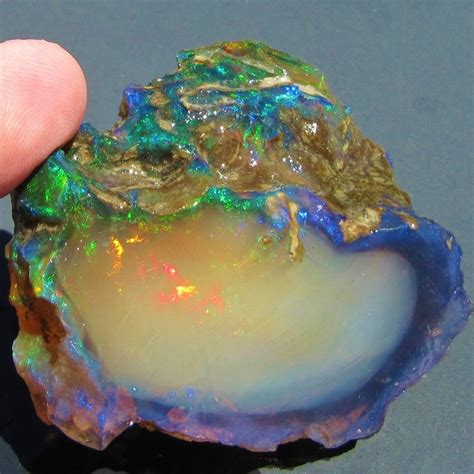 Incredible Dinosaur Discovery Herd Of Opal Encrusted Dinos Uncovered