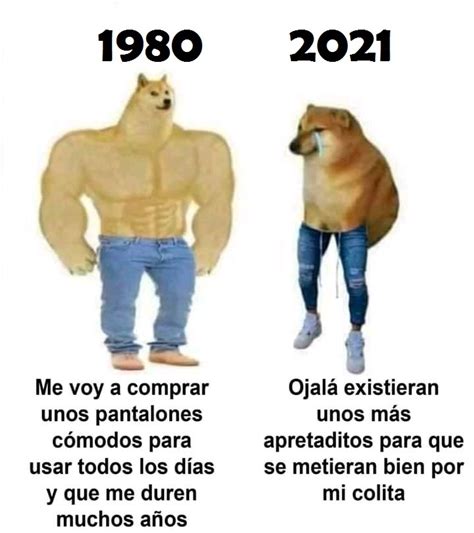 Top Memes De Cheems Y Doge En Español Memedroid