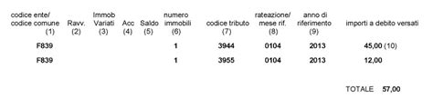 Quali sono i più comuni? Comune di Napoli - TA.R.E.S. 2013 - Istruzioni per il ...