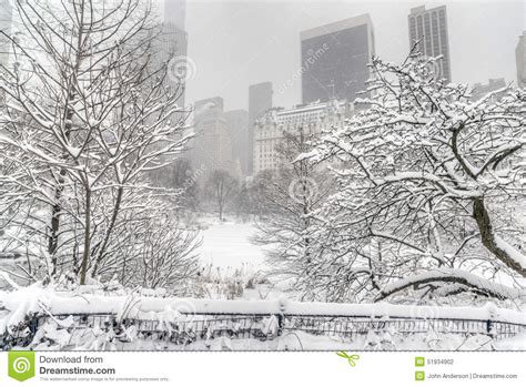 Winter Storm Central Park New York City Stock Photo Image Of City