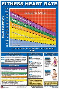 Exercise Heart Rate Chart By Age And Gender Workoutwalls
