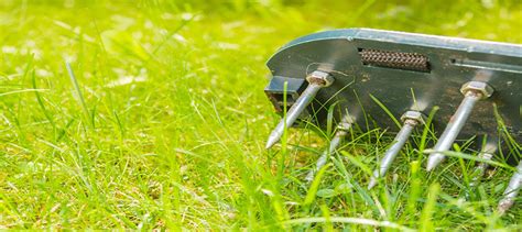 This will help with the number of weeds growing in the springtime. Choosing The Best Lawn Aerator - Gardening Guidance