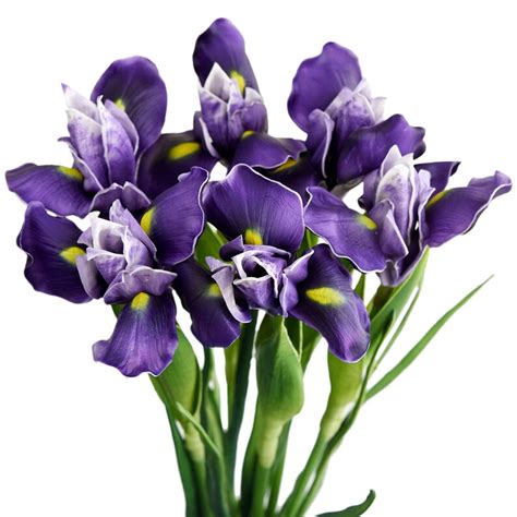 Fiveseasonstuff 6 Long Stems Iris Real Touch Artificial Flower Etsy