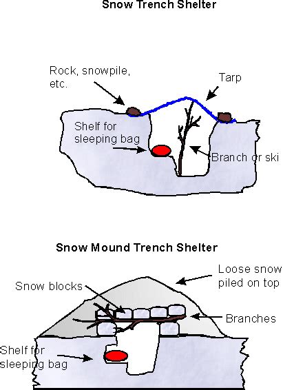 Oa Guide To Winter Shelters