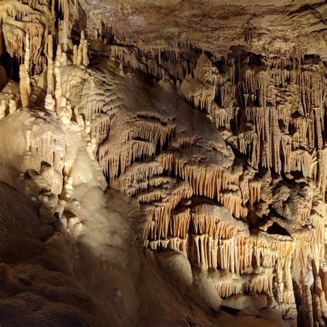 Natural Bridge Caverns San Antonio Lo Que Se Debe Saber Antes De