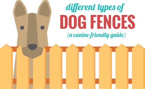 Types Of Dog Fences 101 Guide Infographic Infographic Plaza