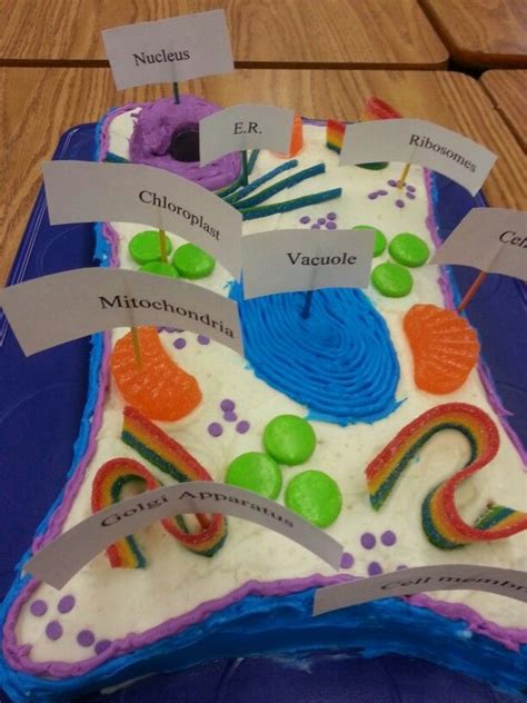 Maybe you would like to learn more about one of these? More edible cells | Edible cell project, Plant cell ...