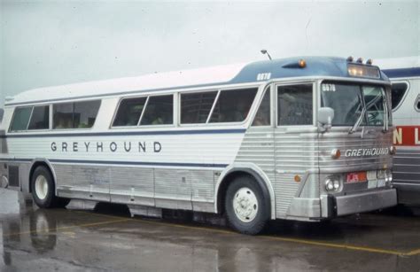 Greyhound 6678 Greyhound Bus Bus City Bus Motorhome