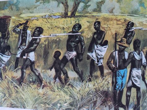 Imagens Escravidão No Brasil