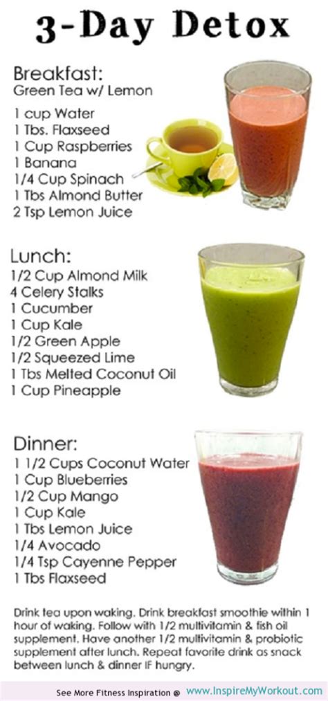 Searching for at home juice cleanse at top10answers. 3 day detox Archives | Home and Heart DIY