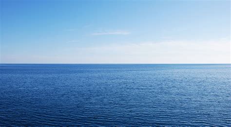 Although some sea creatures depend on light to live, others can do without it. Gazing at the Horizon | Our Daily Bread