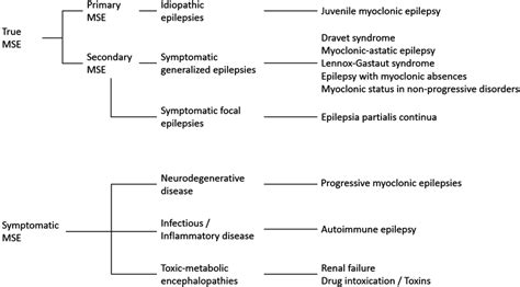 Myoclonic Status Epilepticus Neupsy Key
