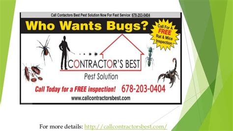 Pest Control Atlanta