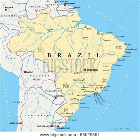 Brazil Political Map Vector Photo Free Trial Bigstock