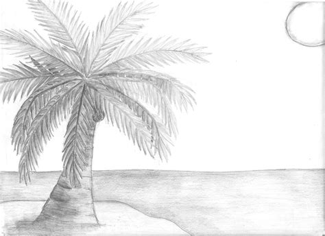 Aggregate More Than Coconut Tree Sketch Images Super Hot Seven Edu Vn