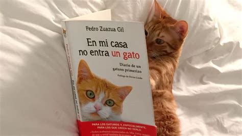 Cursos cortos de cocina, y carreras gastronómicas. "En mi casa no entra un gato... ¡Y punto!"