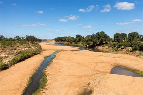 60 Per Cent Of Worlds Rivers Stop Flowing For At Least One Day A Year