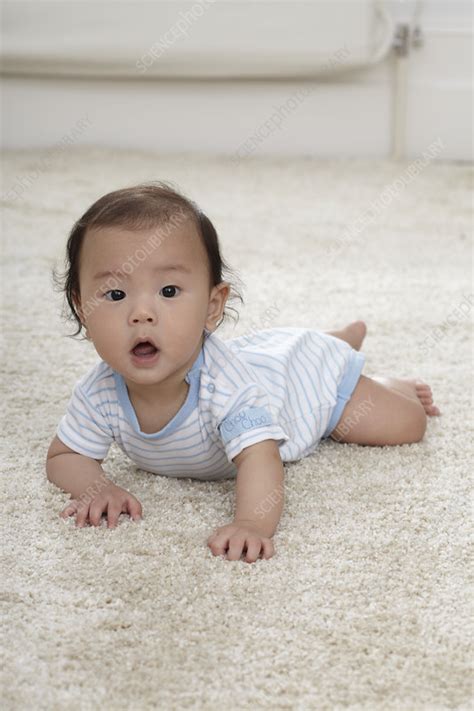 Baby Boy Crawling Stock Image C0520971 Science Photo Library