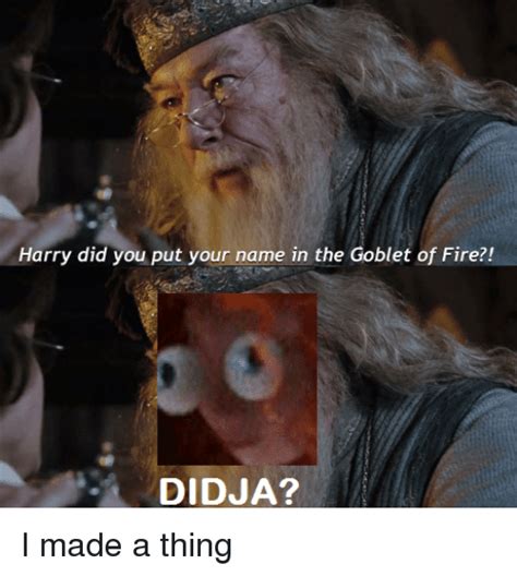 Dumbledore Goblet Of Fire Meme - 🔥 25+ Best Memes About Did You Put Your Name in the Goblet of Fire