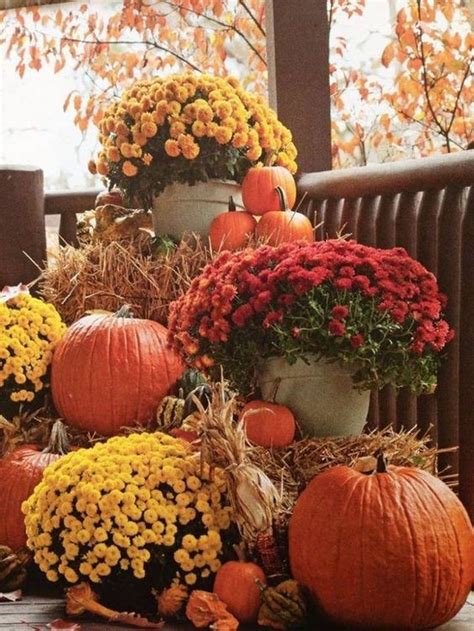 Mums Straw And Pumpkins Fall Outdoor Decor Fall Flowers Fall Outdoor