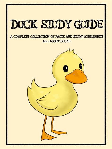Duck Study Worksheet For Kids Printable Pdf Guide Fun Facts For
