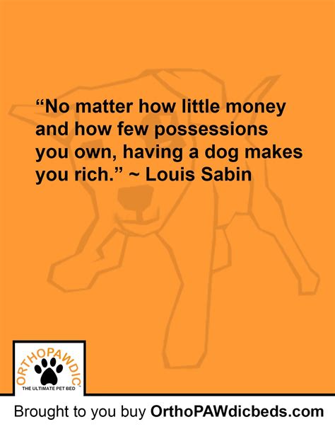 If You Have A Dog You Know What This Dog Quote Is All About If You Don