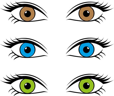 Brown Female Eyes Clip Art Web Clipart Png 2 Clipart Library Clip Art Library