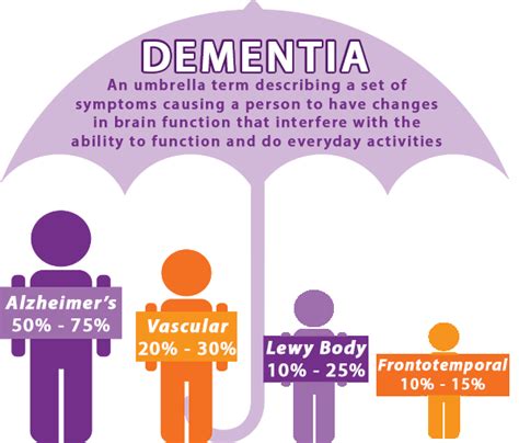 Dementia Care For Seniors Risk Factors And Resources Meetcaregivers
