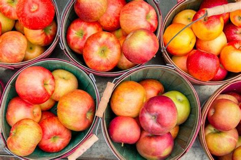 10 Best Apple Orchards In The Us Usa Today 10best